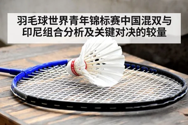 羽毛球世界青年锦标赛中国混双与印尼组合分析及关键对决的较量 - NG28