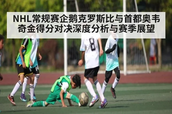NHL常规赛企鹅克罗斯比与首都奥韦奇金得分对决深度分析与赛季展望（NG28APP）